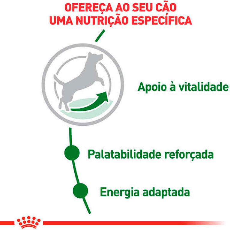Ração Royal Canin Mini Adult 8+ para Cães Adultos de Porte Pequeno acima de 8 anos 2,5Kg