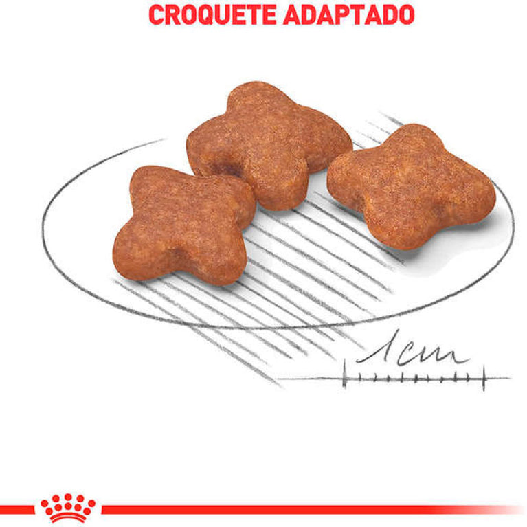 Ração Royal Canin Mini Adult 8+ para Cães Adultos de Porte Pequeno acima de 8 anos 2,5Kg