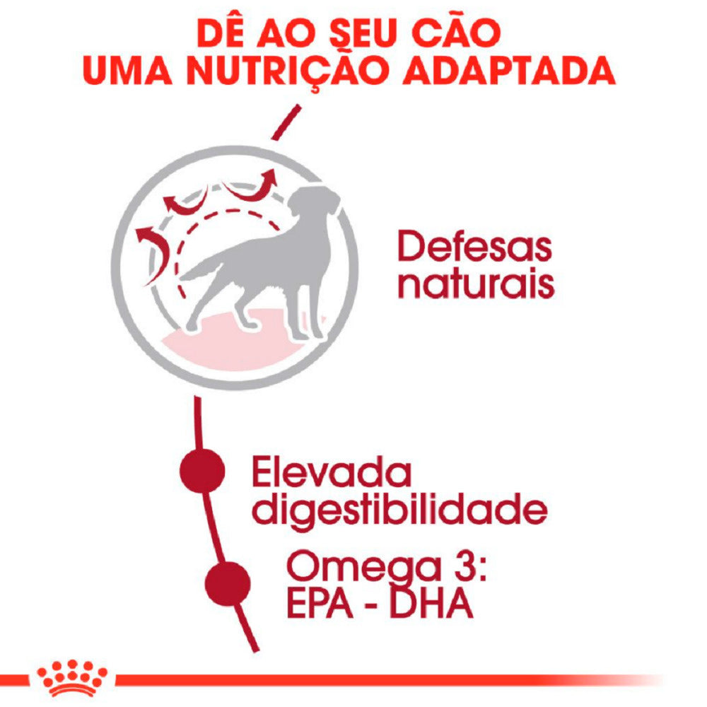 Ração para Cães Royal Canin Medium Adult Raças Médias Adultos