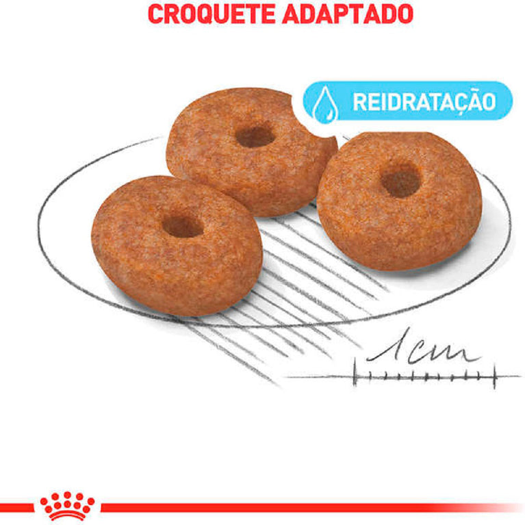 Ração para Cães Royal Canin Mini Indoor 8+ Raças Pequenas Ambientes Internos Sênior