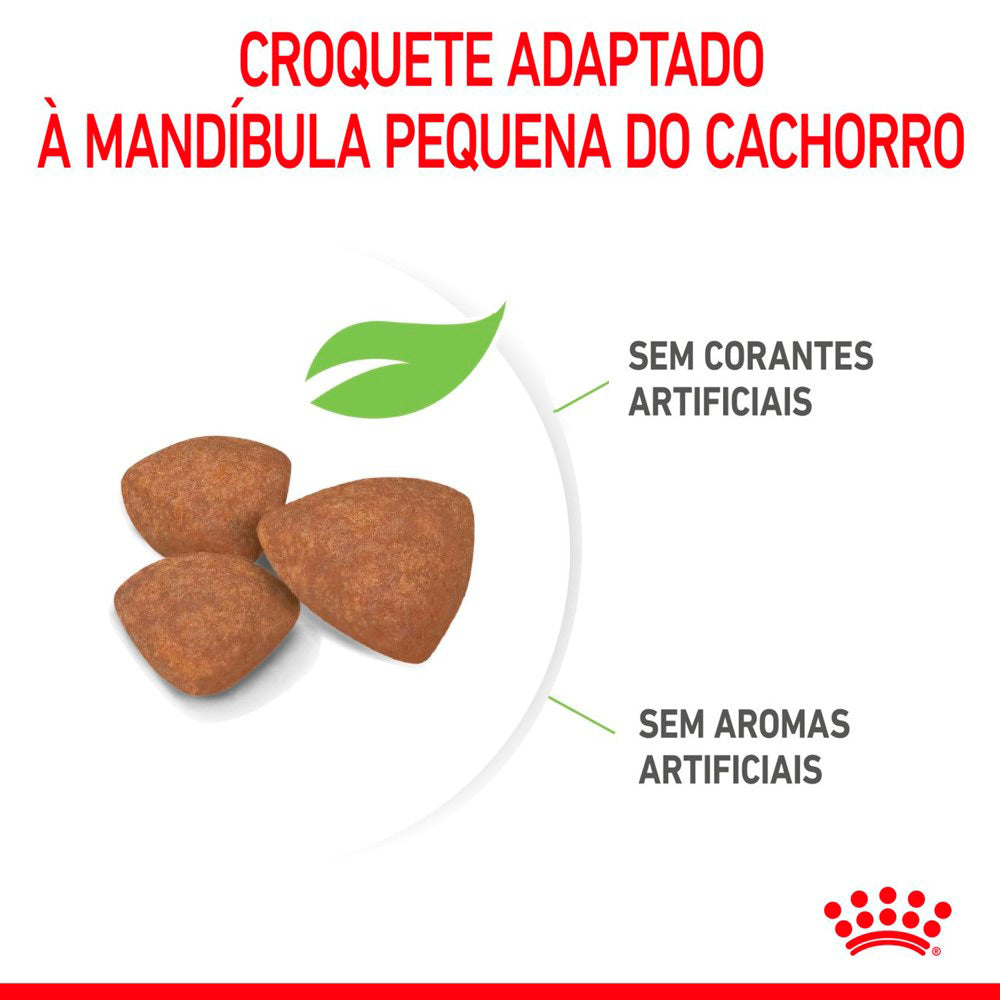 Ração para Cães Royal Canin Mini Puppy Raças Pequenas