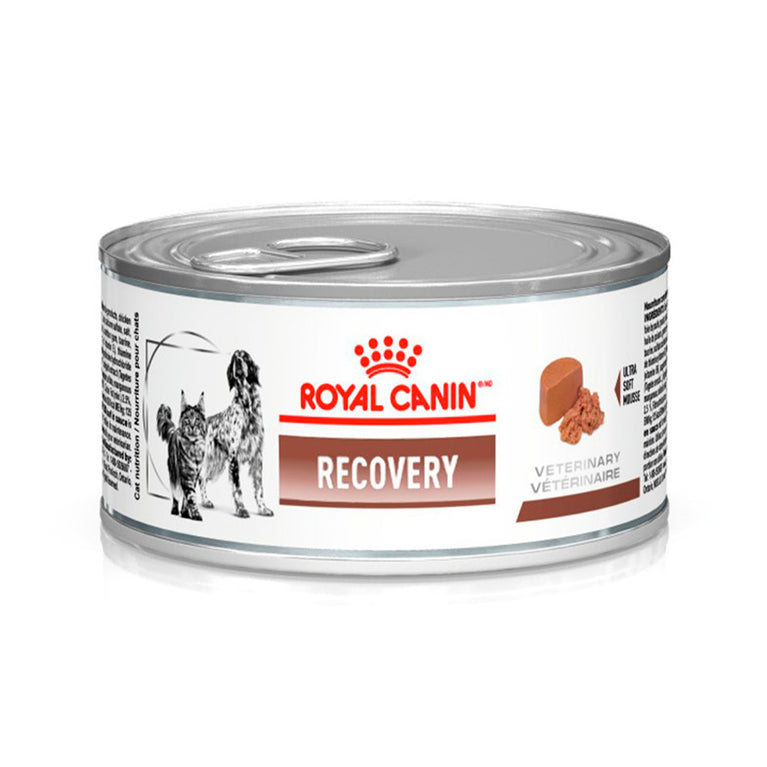 Ração Úmida para Cães e Gatos Royal Canin Recovery