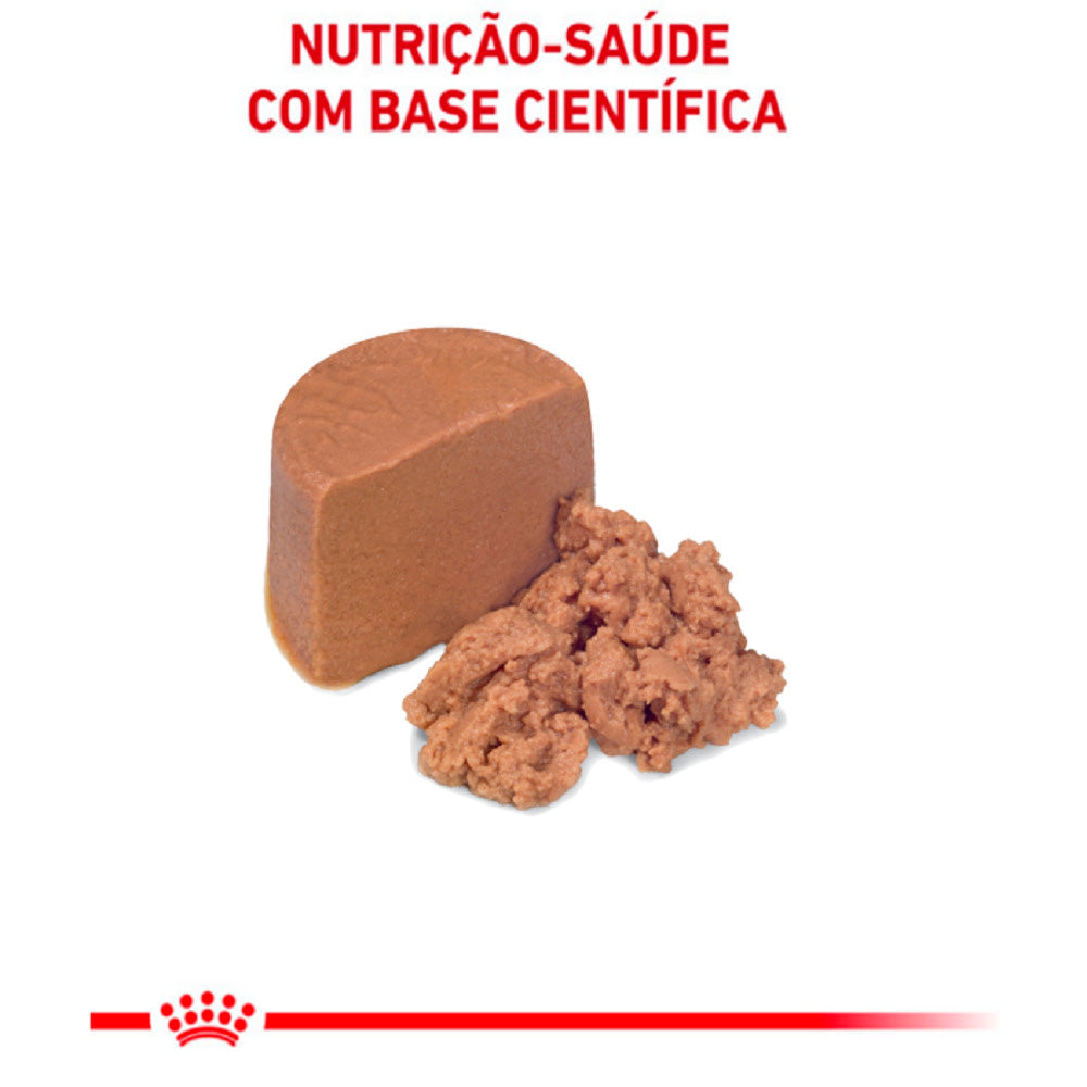 Ração Úmida para Cães e Gatos Royal Canin Recovery