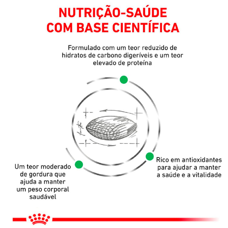 Ração para Gatos Adultos com Diabetes Royal Canin Diabetic