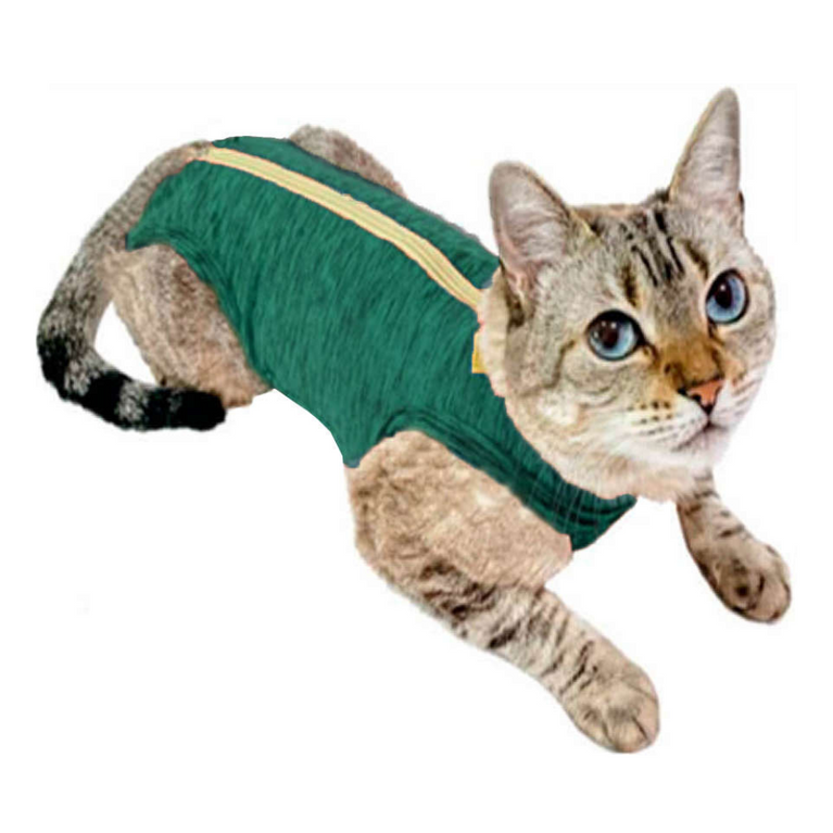 Roupa Pós Castração Pet Med Duo Dry Verde para Gatos