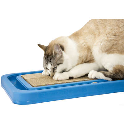 Brinquedo Relaxante para Gatos Furacão Pet Azul