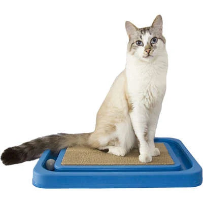 Brinquedo Relaxante para Gatos Furacão Pet Azul