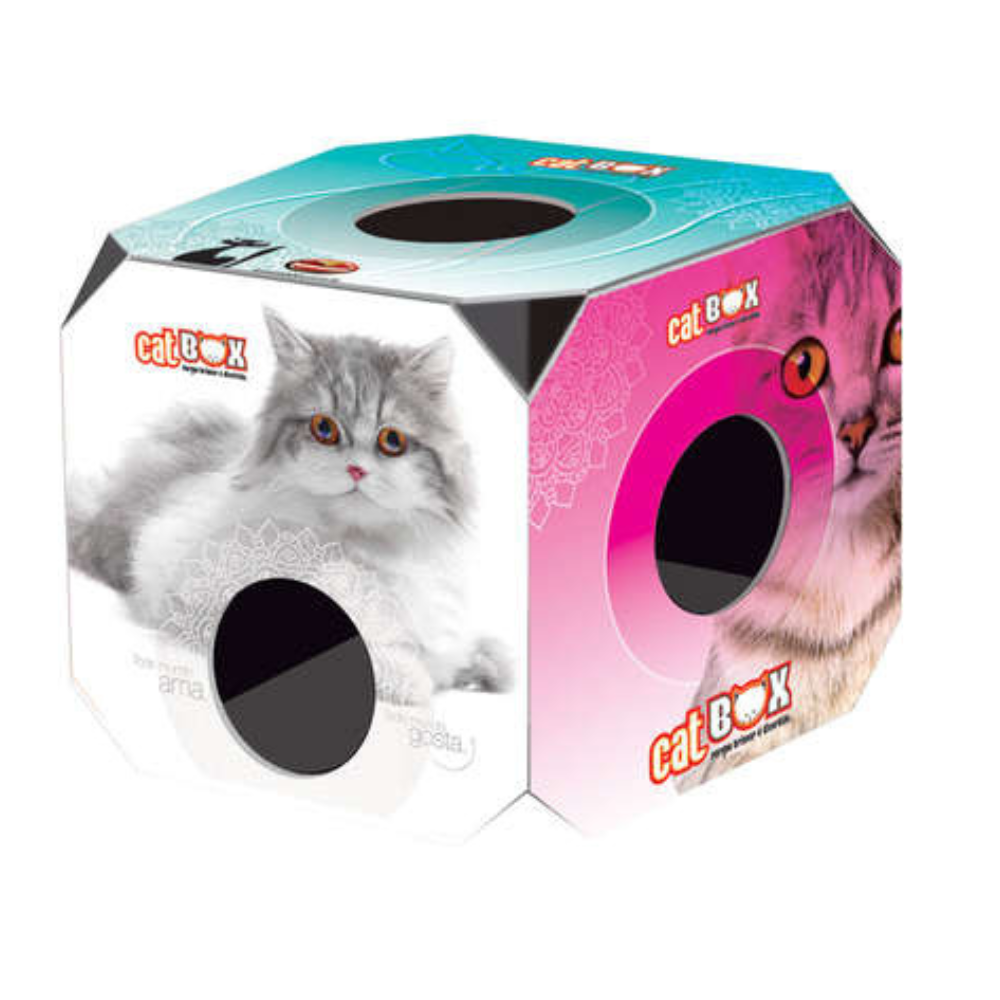 Brinquedo para Gatos Filhotes Furacão Pet Cat Box