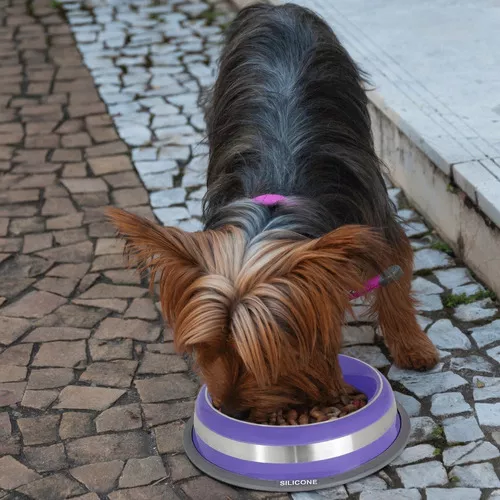 Comedouro Germanhart Inox Prestige Roxo para Cães e Gatos