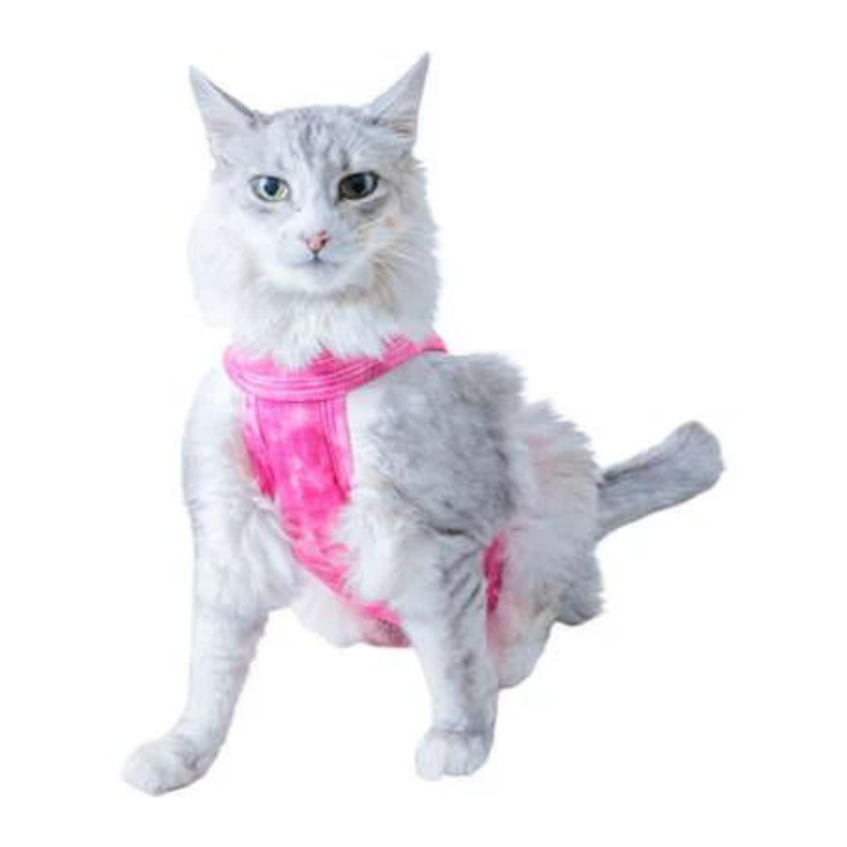 Roupa Cirúrgica Pós Castração Pet Med Regular Dry Light Supreme para Gato Rosa