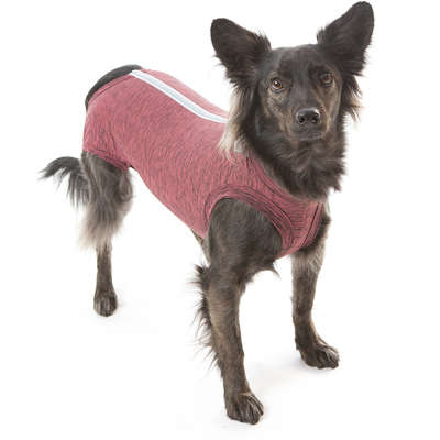 Roupa Pós Castração Regular Pet Med Duo Dry Rosa para Cães