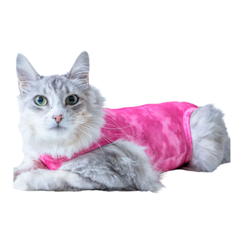 Roupa Cirúrgica Pós Castração Pet Med Regular Dry Light Supreme para Gato Rosa