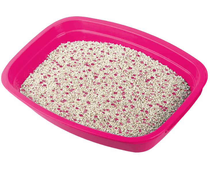 Aditivo Pipicat Floral 500 g