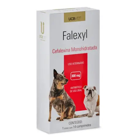 Antibiótico Falexyl UCBVET para Cães