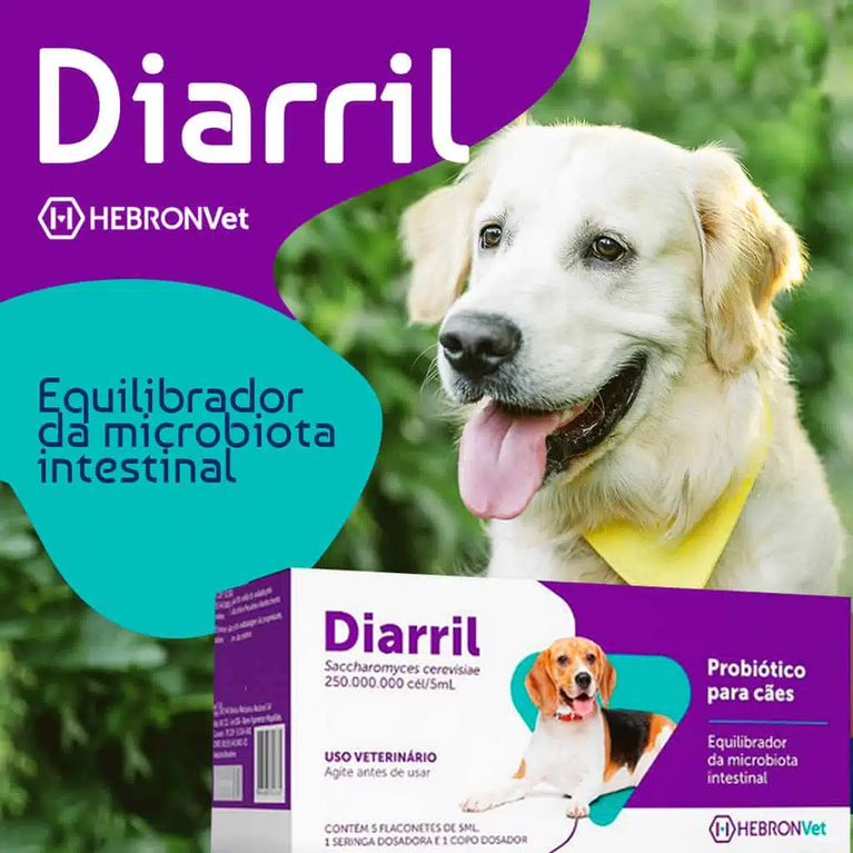 Probiótico Diarril Hebron Vet para Cães com 5 flaconetes de 5 mL cada