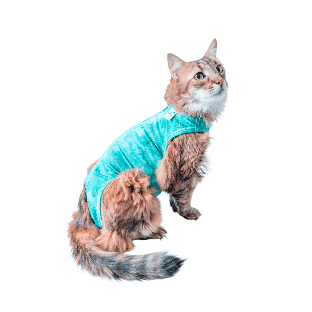 Roupa Cirúrgica Pós Castração Pet Med Regular Dry Light Supreme Verde para Gatos