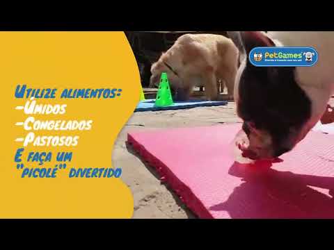 Brinquedo para Cães 4Dogs Nylon Azul Pet Games