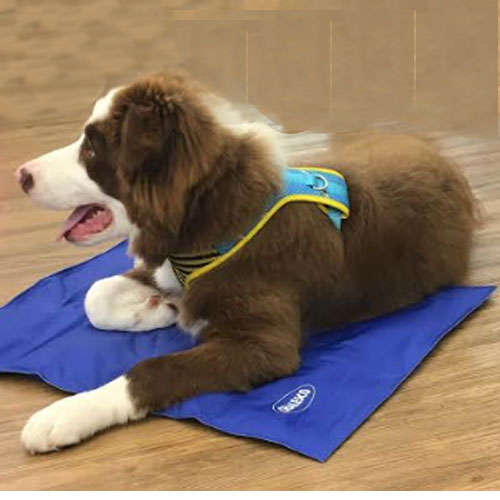 Tapete Gelado Chalesco Pet Cooling Mat para Cães